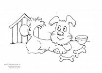 Игра на английском Где живут животные