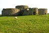 Замок Камбер (Camber Castle)